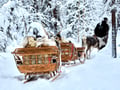Arctic Reindeer Sleigh Ride (1.5km), Levi