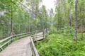 GUIDED VISIT TO THE RANUA ZOO IN SUMMER/AUTUMN