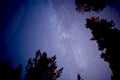 Aurora Picnic by Campfire at Private Happy Fox Farm, 3 hours (Private Tour)