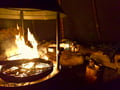 Aurora Picnic by Campfire at Private Happy Fox Farm, 3 hours (Private Tour)