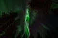 Aurora Workshop in Rovaniemi