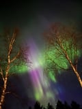 Aurora snowshoe experience at Lucky Ranch and lake Pyhäjärvi