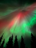 Northern Lights Hunting in Levi (money-back quarantee)