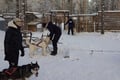 10 km Authentic Husky Safari in the Taiga Forest – Family Kennel