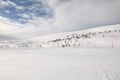 Arctic 3-Hour Snowmobile Adventure in Levi