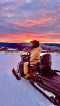 Arctic 3-Hour Snowmobile Adventure in Levi