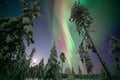 Small Group: Northern Lights Hunt 4x4 SUV - Aurora guarantee