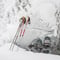 Rovaniemi: Insider Arctic Snowshoeing Adventure
