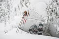 Rovaniemi: Insider Arctic Snowshoeing Adventure