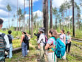 Magical Taiga Forest Hike