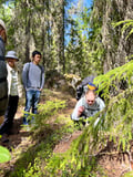 Magical Taiga Forest Hike