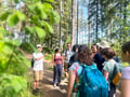 Magical Taiga Forest Hike