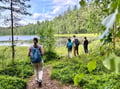 Magical Taiga Forest Hike