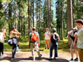 Magical Taiga Forest Hike