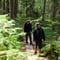 Magical Taiga Forest Hike
