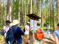 Magical Taiga Forest Hike