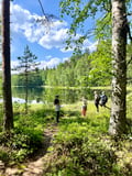 Magical Taiga Forest Hike