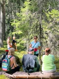 Magical Taiga Forest Hike