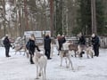 Experience A Magical 2km Reindeer Ride And A Visit Of A Reindeer Farm