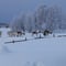 Experience A Magical 2km Reindeer Ride And A Visit Of A Reindeer Farm