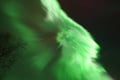 Rovaniemi Northern Lights – The Real Guaranteed Hunt