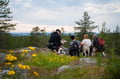 Midnight Sun Husky hiking, Husky Park, Siberian Husky, Rovaniemi Lapland