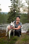 Midnight Sun Husky hiking, Husky Park, Siberian Husky, Rovaniemi Lapland