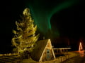 Northern Lights Small-Group Tour At Shaman Village