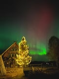 Northern Lights Small-Group Tour At Shaman Village