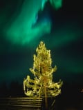 Northern Lights Small-Group Tour At Shaman Village