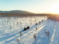 Family Snowmobile Safari with Kids’ Mini-Snowmobiles & Campfire, Levi