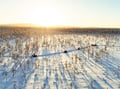Family Snowmobile Safari with Kids’ Mini-Snowmobiles & Campfire, Levi