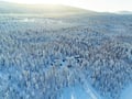 Family Snowmobile Safari with Kids’ Mini-Snowmobiles & Campfire, Levi