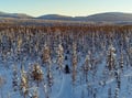 Family Snowmobile Safari with Kids’ Mini-Snowmobiles & Campfire, Levi