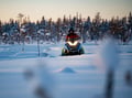 Family Snowmobile Safari with Kids’ Mini-Snowmobiles & Campfire, Levi