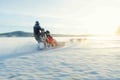 Kemijärvi: Insider Long Husky Self Drive Adventure