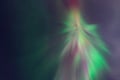 Rovaniemi: Northern Lights Pro Guaranteed - Unlimited (PRIVATE)