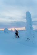 Premium Snowshoe or Ski Adventure in Lapland (Private Tour)