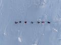 Premium Snowshoe or Ski Adventure in Lapland (Private Tour)