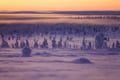 Premium Snowshoe or Ski Adventure in Lapland (Private Tour)