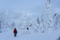 Snowshoeing Adventure to the Amethyst Mine