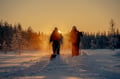 Premium Snowshoe or Ski Adventure in Lapland (Private Tour)