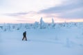 Premium Snowshoe or Ski Adventure in Lapland (Private Tour)