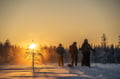Backcountry Ski Adventure in Lapland (Beginner)