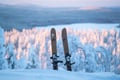 Premium Snowshoe or Ski Adventure in Lapland (Private Tour)
