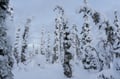 Snowshoeing Adventure to the Amethyst Mine