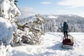 Premium Snowshoe or Ski Adventure in Lapland (Private Tour)