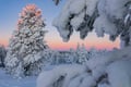 Backcountry Ski Adventure in Lapland (Beginner)