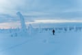 Premium Snowshoe or Ski Adventure in Lapland (Private Tour)