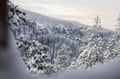 Snowshoe Trek in Pallastunturi (4-Day)